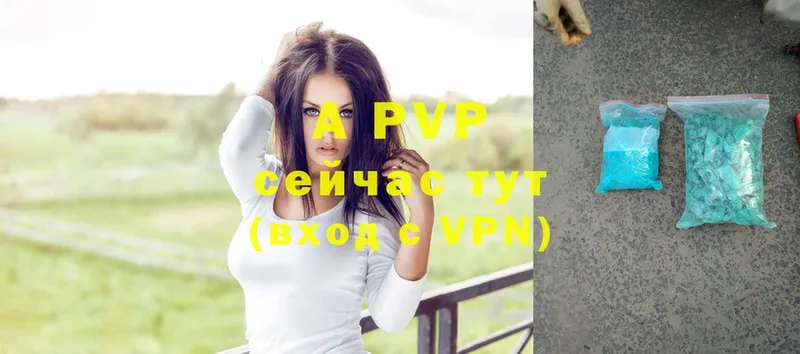 A PVP СК КРИС  Люберцы 